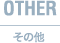 OTHER その他